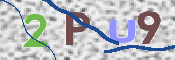 この文字を入力してください