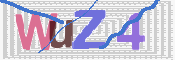 この文字を入力してください
