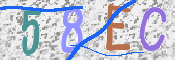 この文字を入力してください