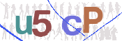 この文字を入力してください