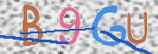 この文字を入力してください