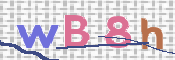 この文字を入力してください