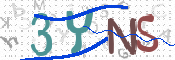 この文字を入力してください