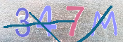 この文字を入力してください