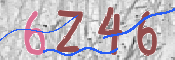 この文字を入力してください