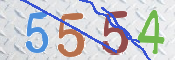 この文字を入力してください