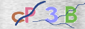 この文字を入力してください