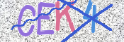 この文字を入力してください