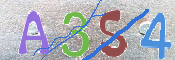 この文字を入力してください