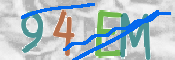 この文字を入力してください