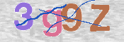 この文字を入力してください