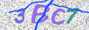この文字を入力してください