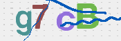 この文字を入力してください