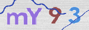 この文字を入力してください