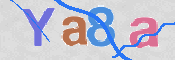 この文字を入力してください