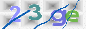 この文字を入力してください