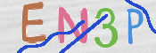 この文字を入力してください