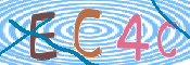 この文字を入力してください