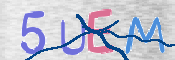 この文字を入力してください