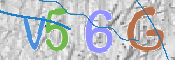 この文字を入力してください