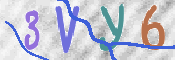 この文字を入力してください