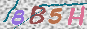 この文字を入力してください
