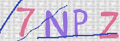 この文字を入力してください
