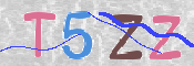 この文字を入力してください