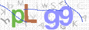 この文字を入力してください