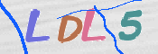 この文字を入力してください
