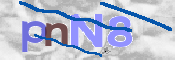 この文字を入力してください