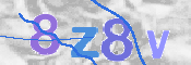 この文字を入力してください