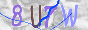 この文字を入力してください