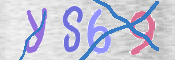 この文字を入力してください