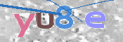 この文字を入力してください