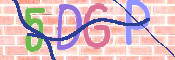 この文字を入力してください