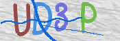 この文字を入力してください