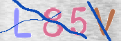 この文字を入力してください