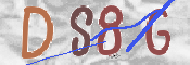 この文字を入力してください