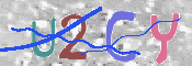 この文字を入力してください