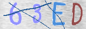 この文字を入力してください