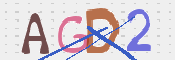 この文字を入力してください