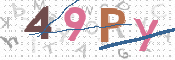 この文字を入力してください