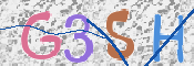 この文字を入力してください