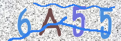 この文字を入力してください