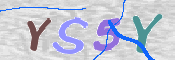 この文字を入力してください