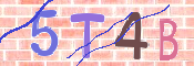 この文字を入力してください