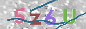 この文字を入力してください