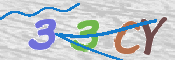 この文字を入力してください