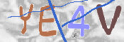 この文字を入力してください